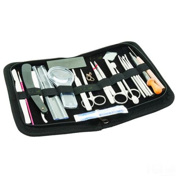 Large Dissecting Set
